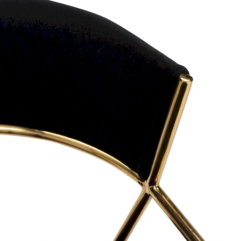 Chaise de salle à manger tapissée Tatyana Gold Silver Orchid (lot de 2)